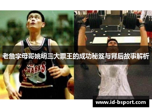 老詹字母哥姚明三大票王的成功秘笈与背后故事解析