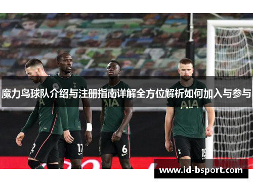 魔力鸟球队介绍与注册指南详解全方位解析如何加入与参与