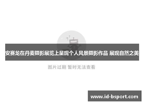 安赛龙在丹麦摄影展览上呈现个人风景摄影作品 展现自然之美